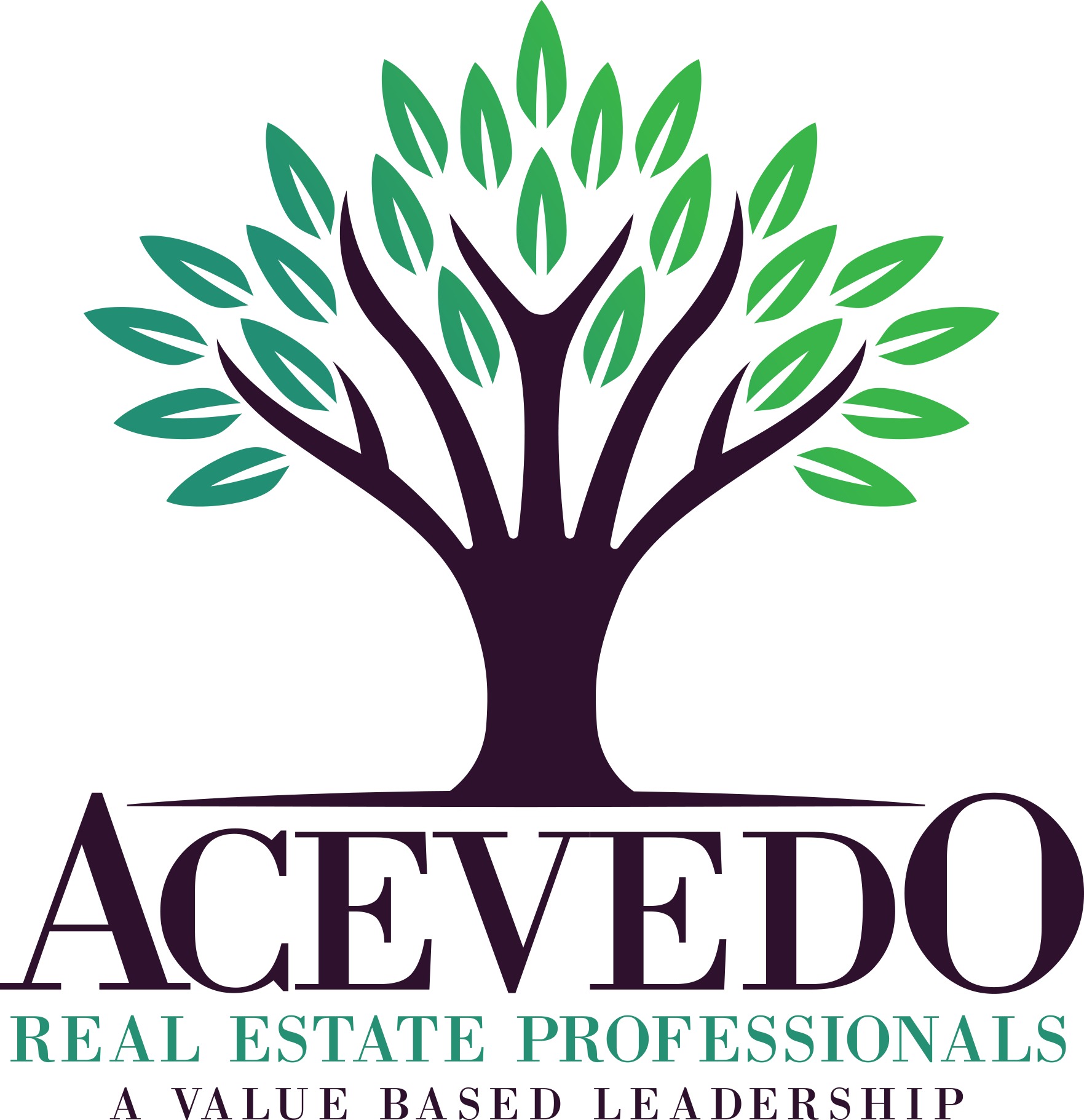 The Acevedo Team